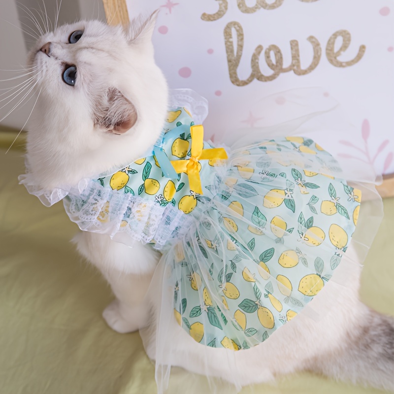 open lace back dress Boy Cat Party Dress Shirt Evening Dress Sphynx Cat Clothes from Fatcatjoy Cat  Clothes Shop main image 0