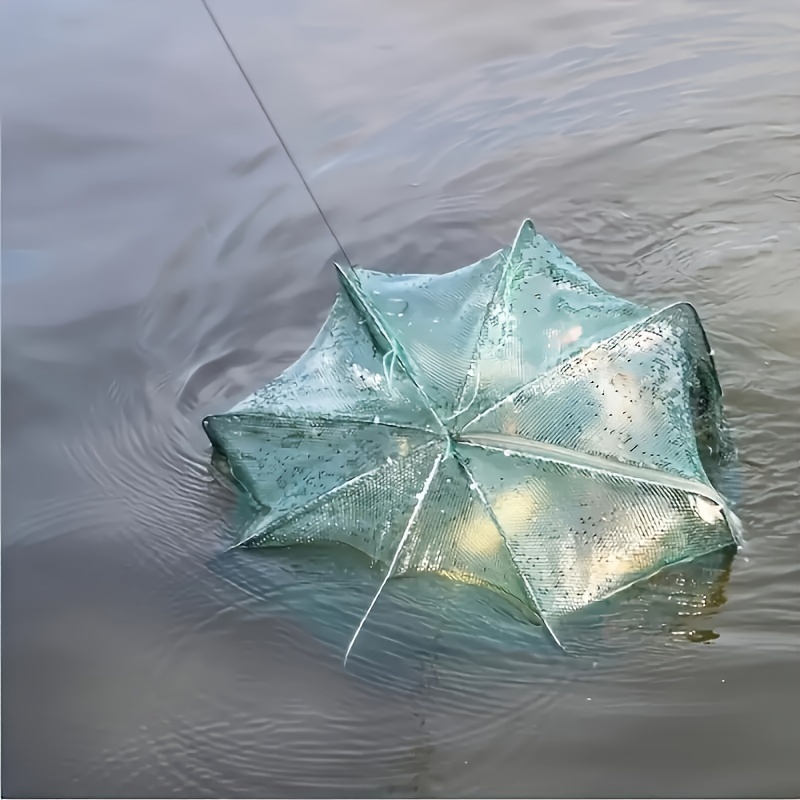eel net fishing Loach Trapper Pictures may be magnified to show detail. In Maine, Fishing for Tiny