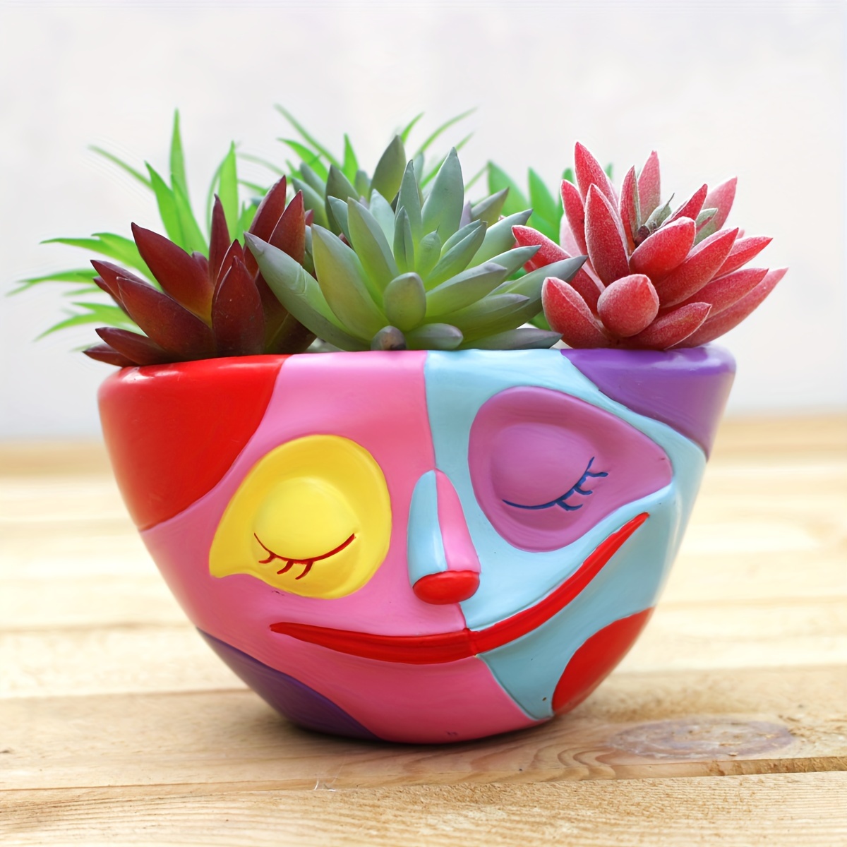3 inch colorful face planter unique resin succulent - Temu Trkiye