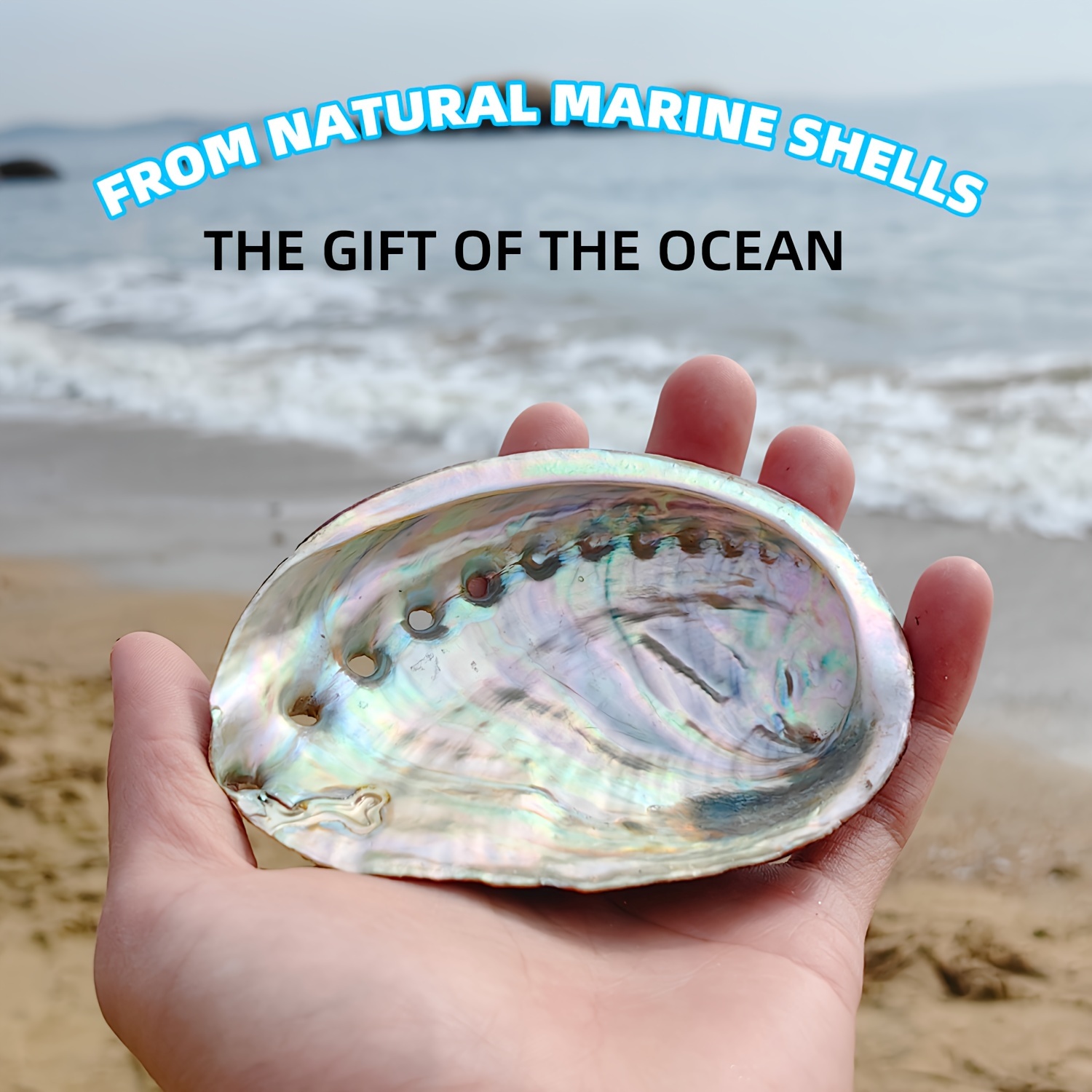 Teal Blue Sea Shell Trinket Dish Ammonite Decor Plate Nautical