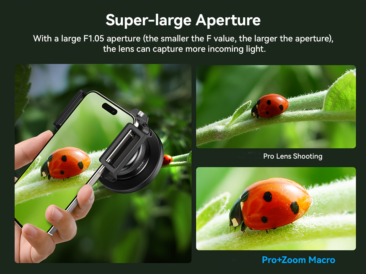 Insect D5600 Macro Lens Bugs Best Nikon Lens For Insect