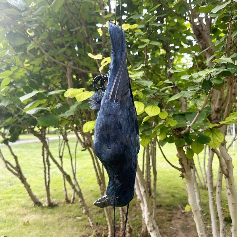 Realistic Hanging Decoy, Life-size Oversized Crow Halloween Decoration For Garden Decor