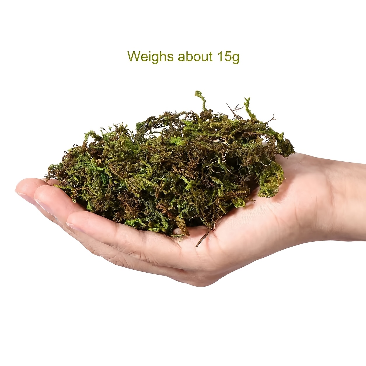 15g/55g Moss Decorative Material, Small Pet Bedding & Terrarium For Hamster Cages, , Mini Gardens & Diy Decor