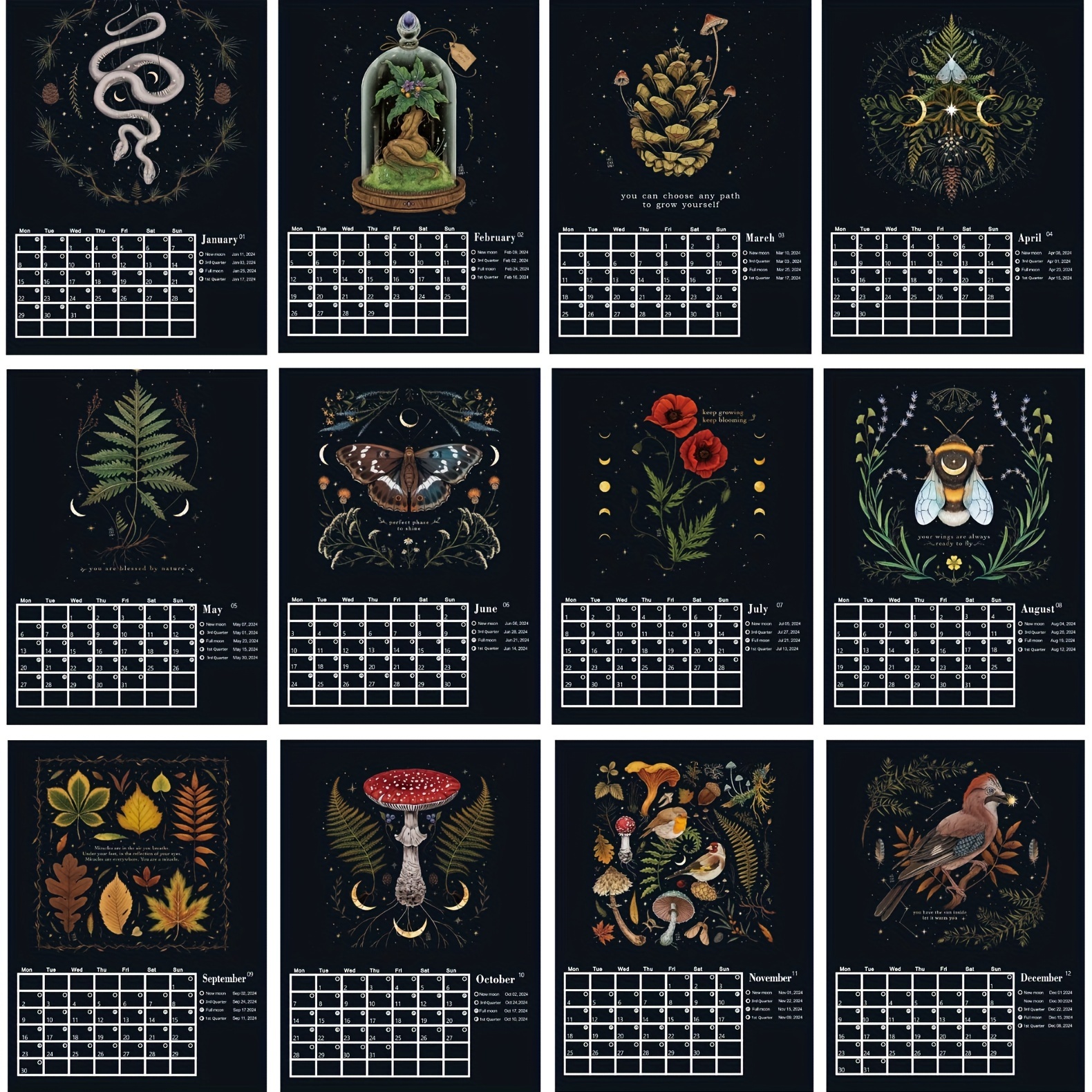dark-forest-lunar-calendar-2025-a-monthly-mushroom-temu
