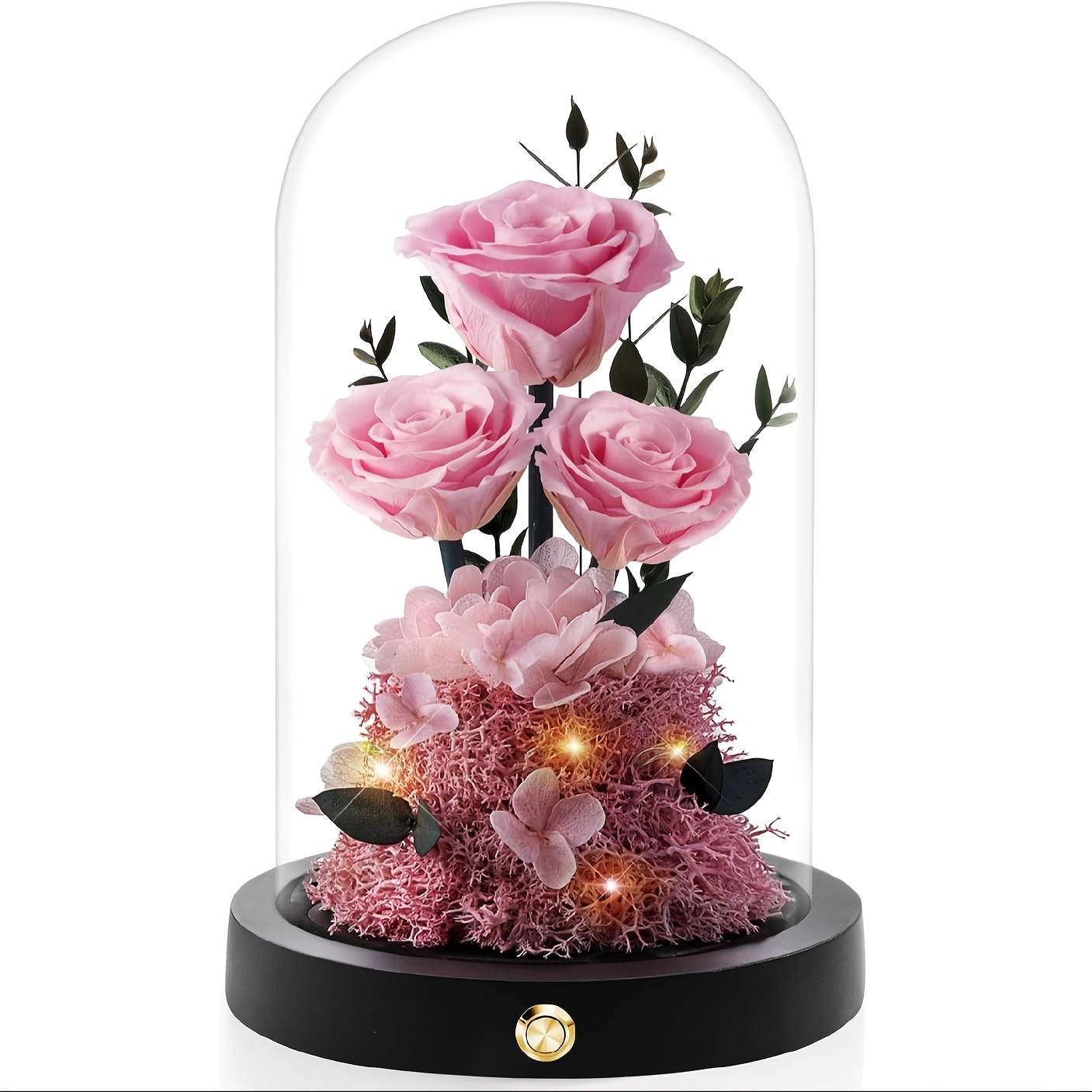   Preservadas Elegantes en   de Vidrio - Regalo Floral   para Mujeres,   para San Valentín, Día de la   o   - Ideal para  ,  , Novia,   o Mejor   -     y Hermosamente Presentadas