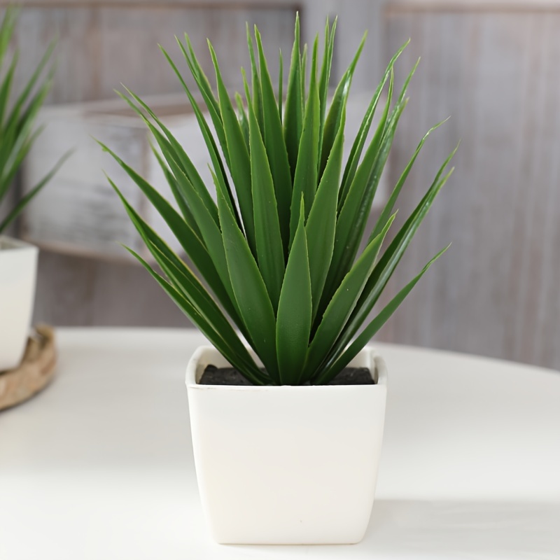 Image of 1pc Home Decoration Decoration Pot, Simulated Sword Tongue Orchid Plant Small Pot, Garden Desktop Bookshelf Porch Windowsill Home Decoration