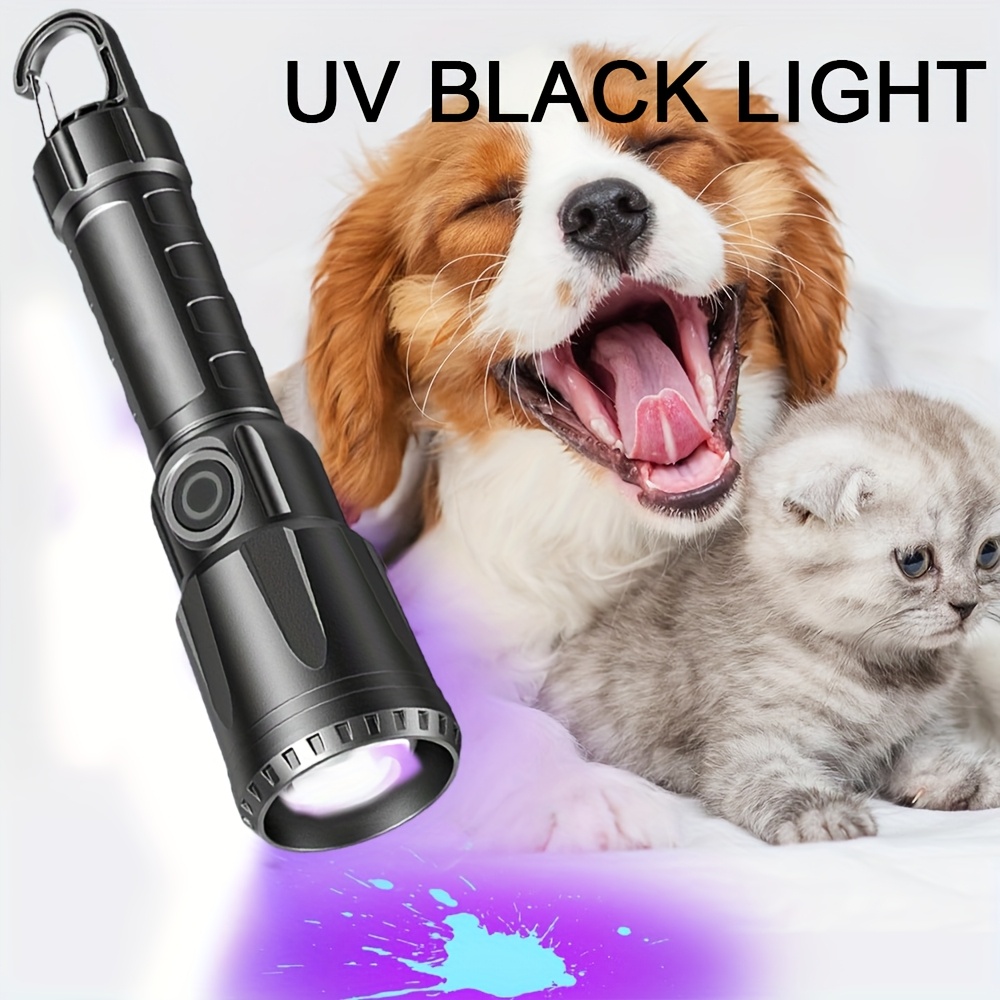 camelion 3-in-1 led rechargeable flashlight kit Camelion 3-in-1 LED Rechargeable Flashlight Kit