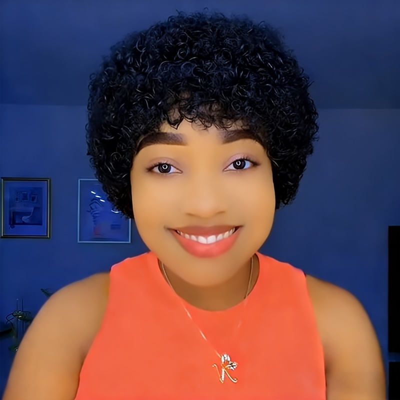 Human Hair Afro Wig For Women - Soft Fluffy Style, For Cosplay Or Daily Use, 200% Density, , Natural Black Color, Versatile Hairstyle | Afro Wig