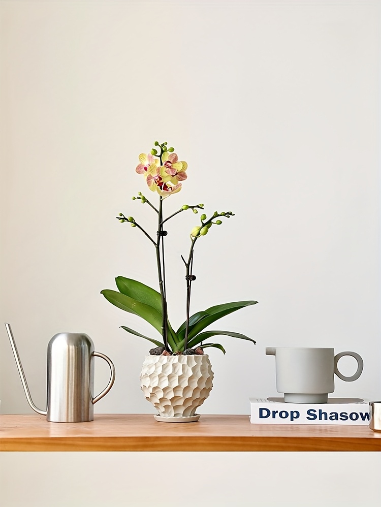 Creative Irregular Ceramic Flower Pot Phalaenopsis Orchid Pot Orchid Pottery Pot Coarse Pottery Clay Pot Set Pot with Tray Gardening Gift Home Decor