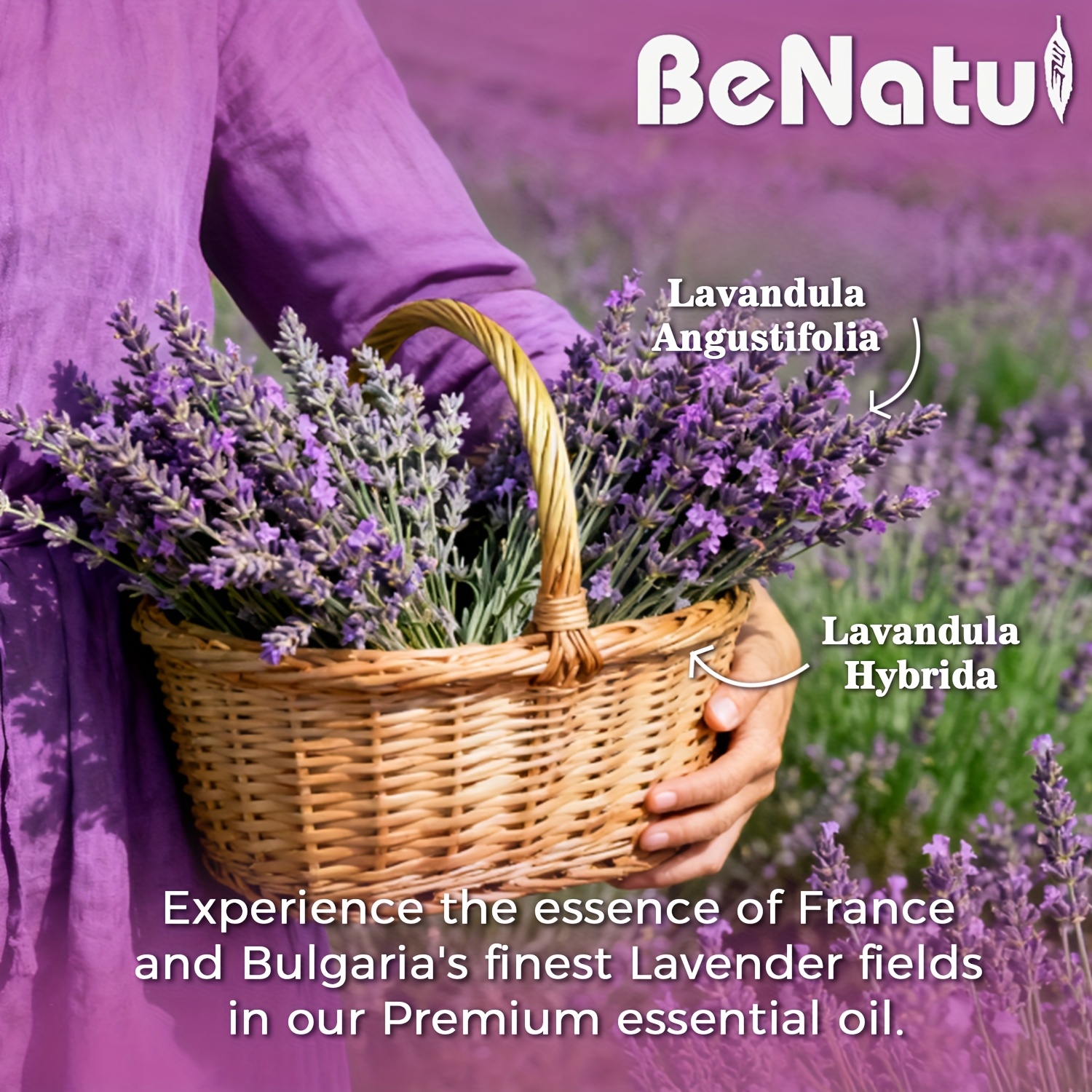 120ml (4oz) Lavender Essential Oil for Diffuser, Candle Making, Massage, Soap DIY, and Home Fragrance