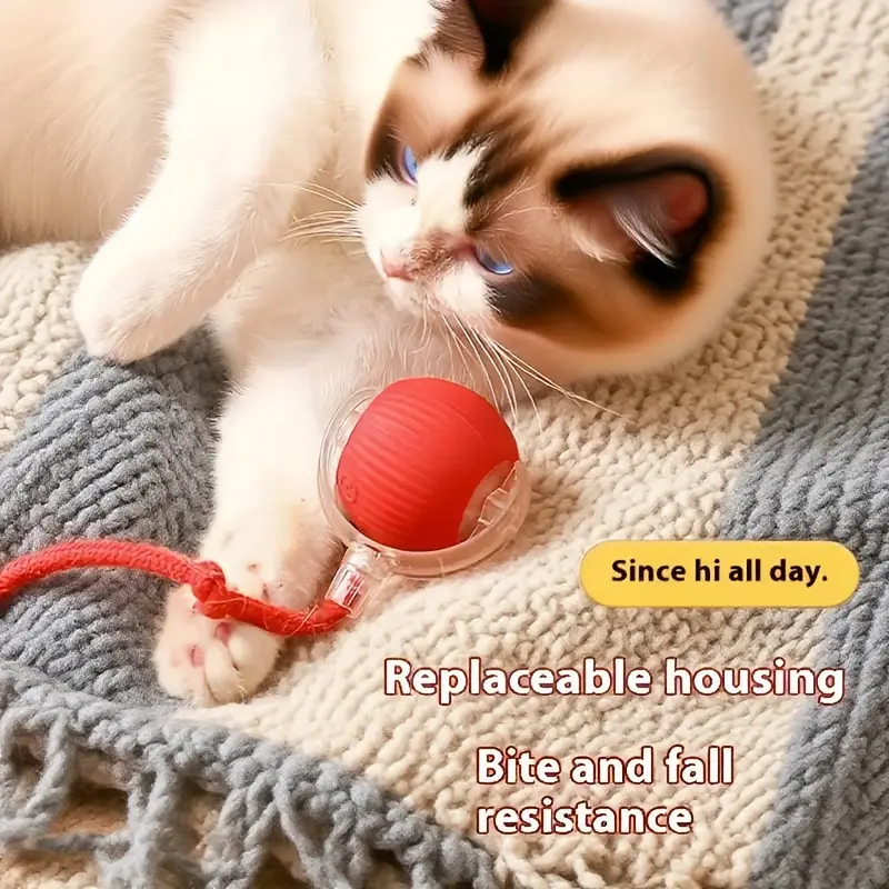 brinquedos interativos elétricos para gatos - bolas duráveis e resistentes a recarregáveis via usb, adequados os tipos de brinquedos internos. bolas inter s para gato, bolas cricrilantes pra gatilhos, contra tédio em , com seus bichanos, construção , plástico resistente à , pro casais de e multi- Detalhes do produto 1
