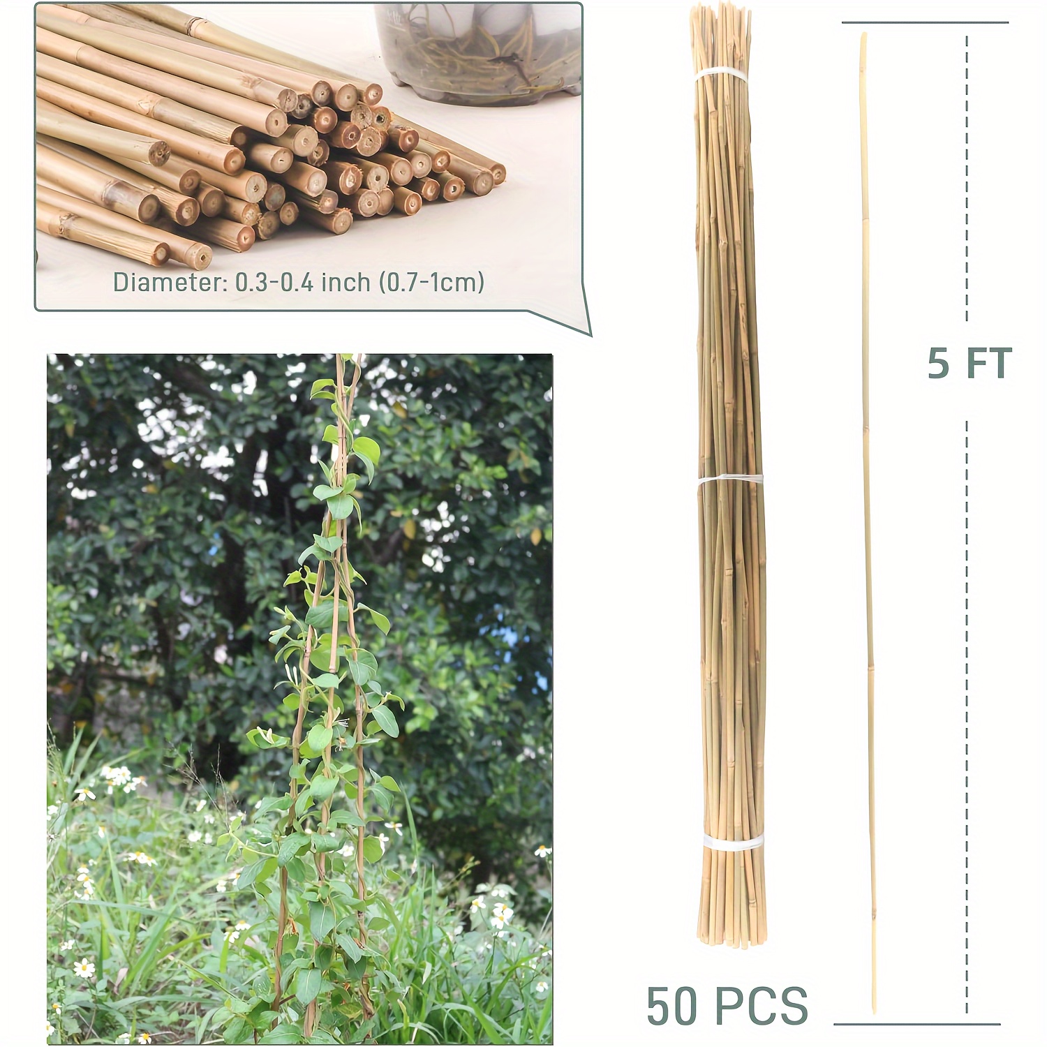 charcoal and plants Horticultural Charcoal 2.2lb – HydraGarden main image 1
