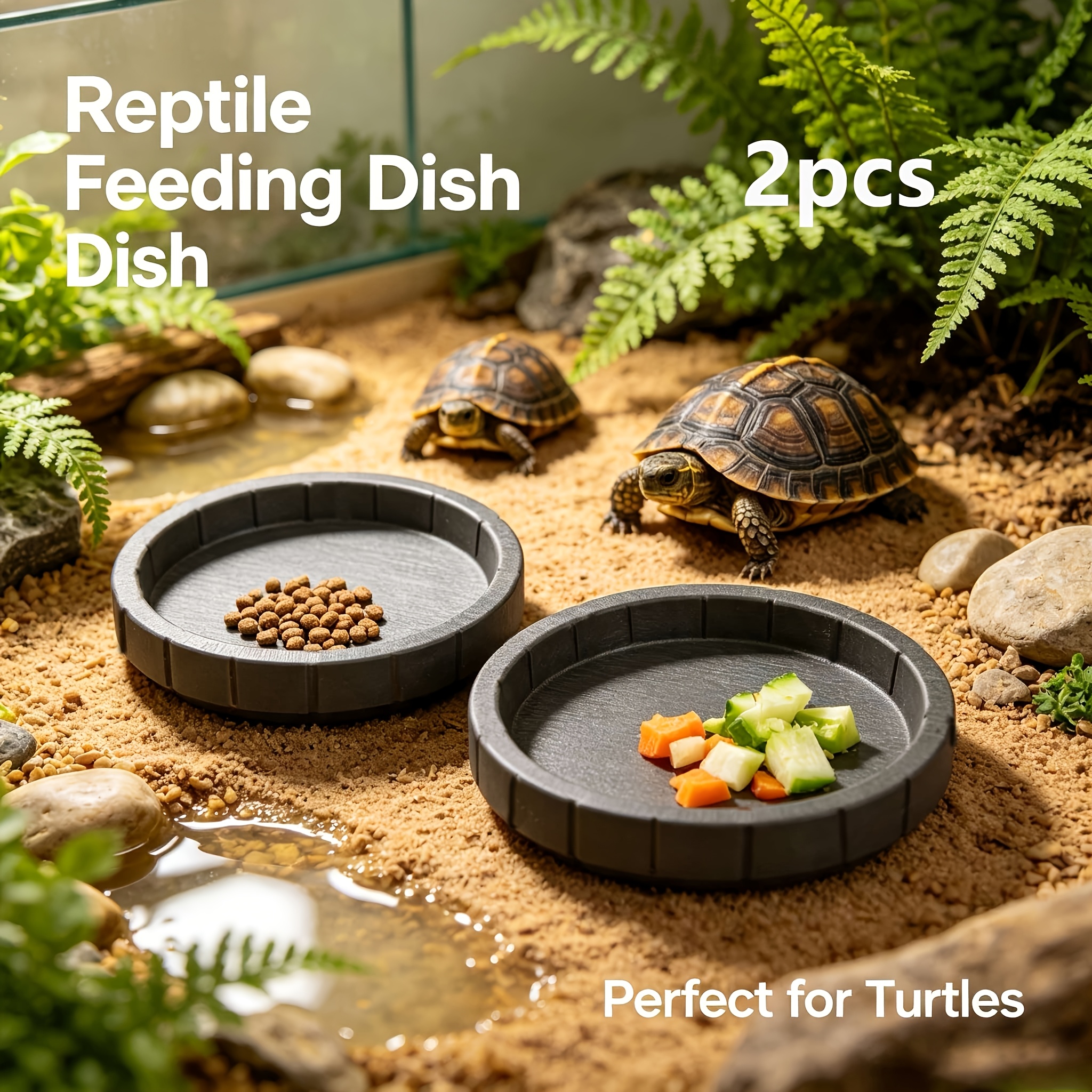 TEMU Lot de 2 gamelles d'alimentation pour reptiles, bol pour nourriture et eau, plat pour tortue, décoration pour terrarium, ornement pour aquarium