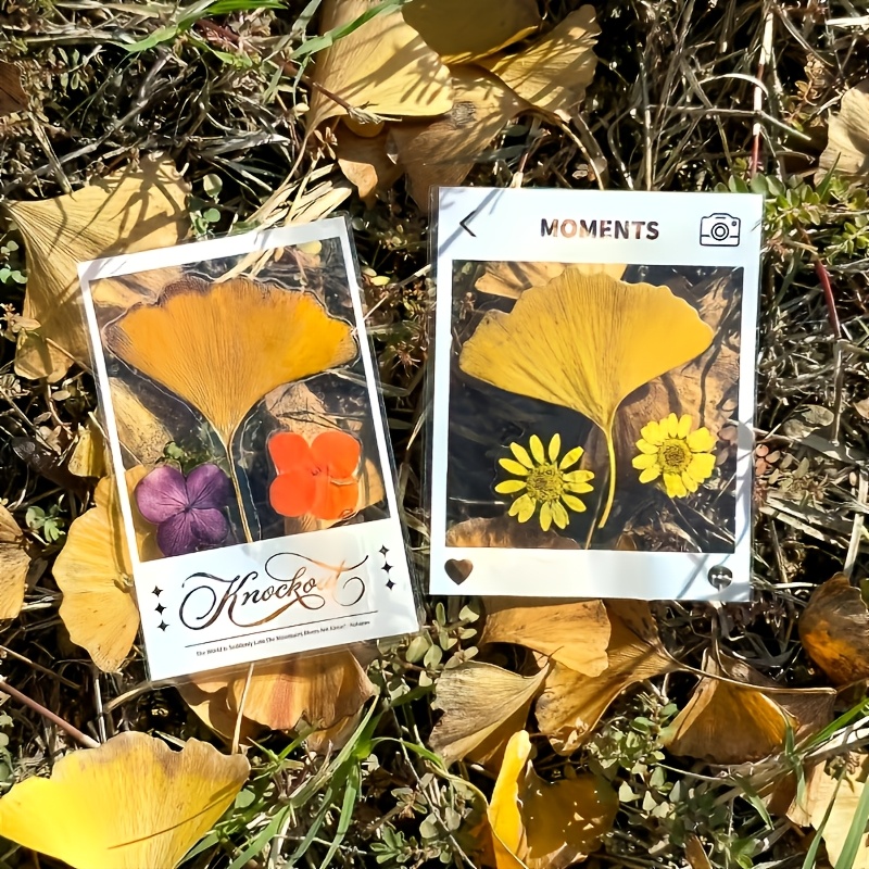 TEMU Set de 20 pegatinas autoadhesivas hechas a - Colección de flores, hojas caídas, marcapáginas grabados transparentes, marco de fotos para álbumes