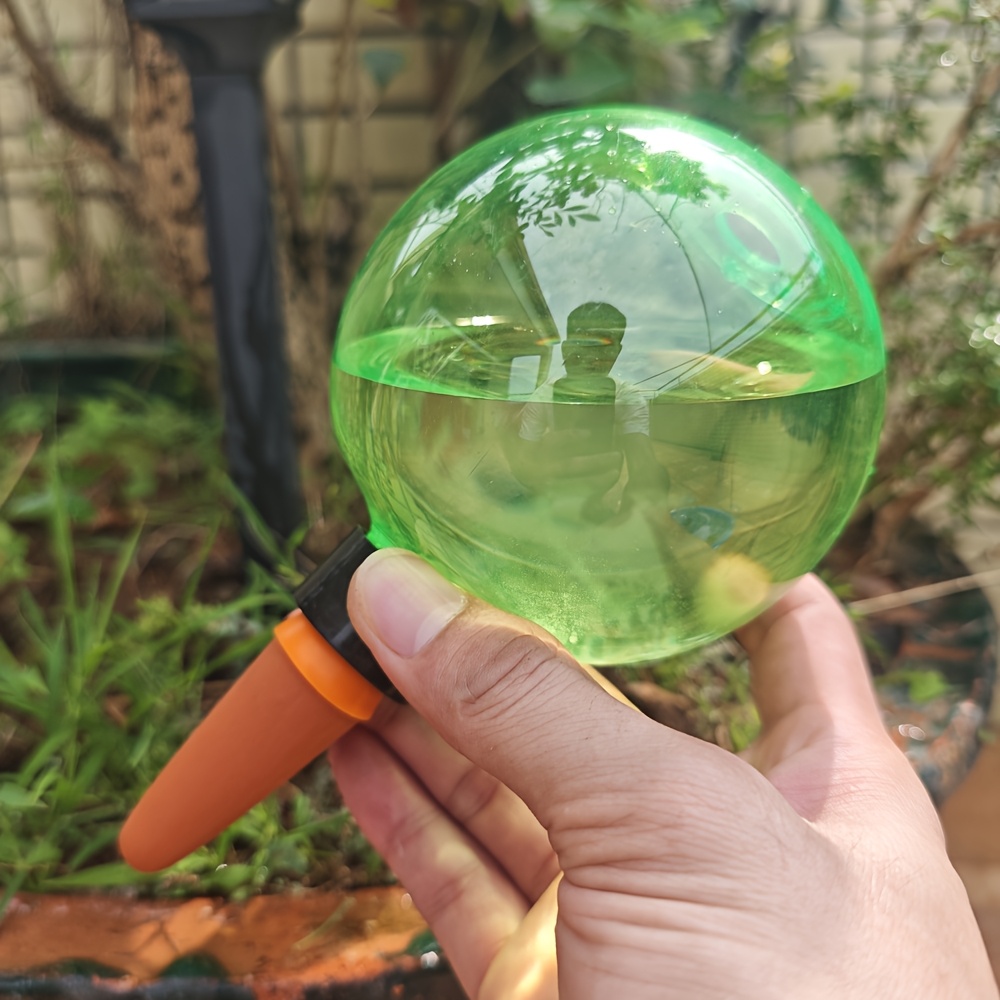 5pcs extra large plant self watering globes plastic - Temu Sweden