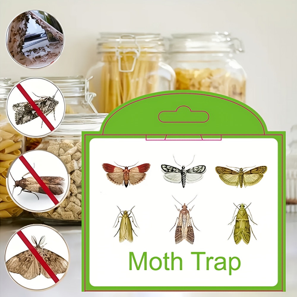 mothers   and white moth trap   strength   pantry moth   traps for house pantry keep moth away with taro moth killer indoor   with pheromones   moth trap anti pantry moth 0