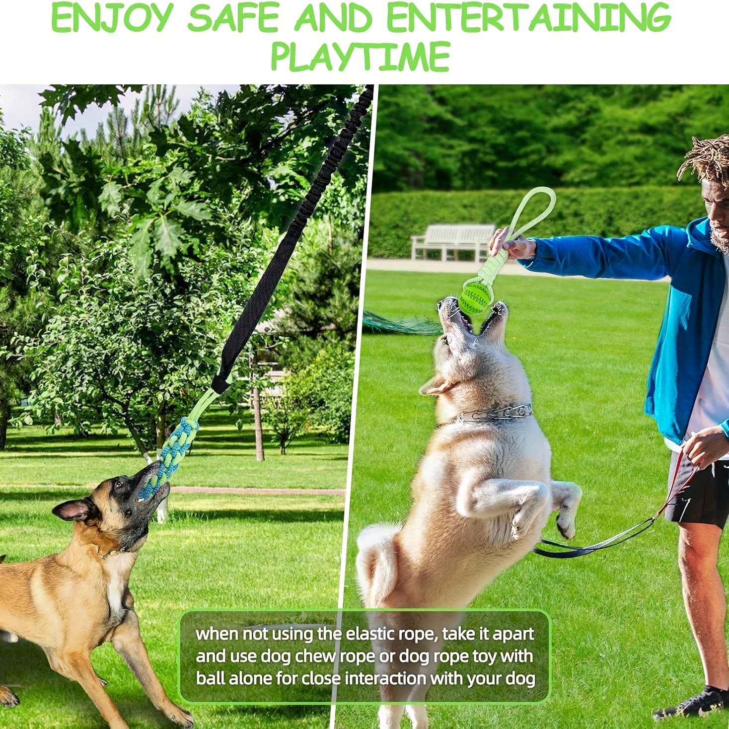 spring pole dog rope toys dog interactive toy Temu South Africa - Main Image