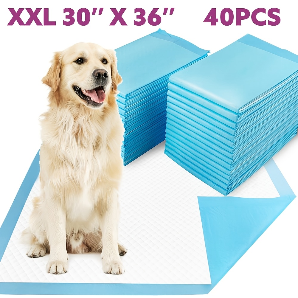 100 Count Weewee Dog Pads Powools 100-Count Jumbo (34