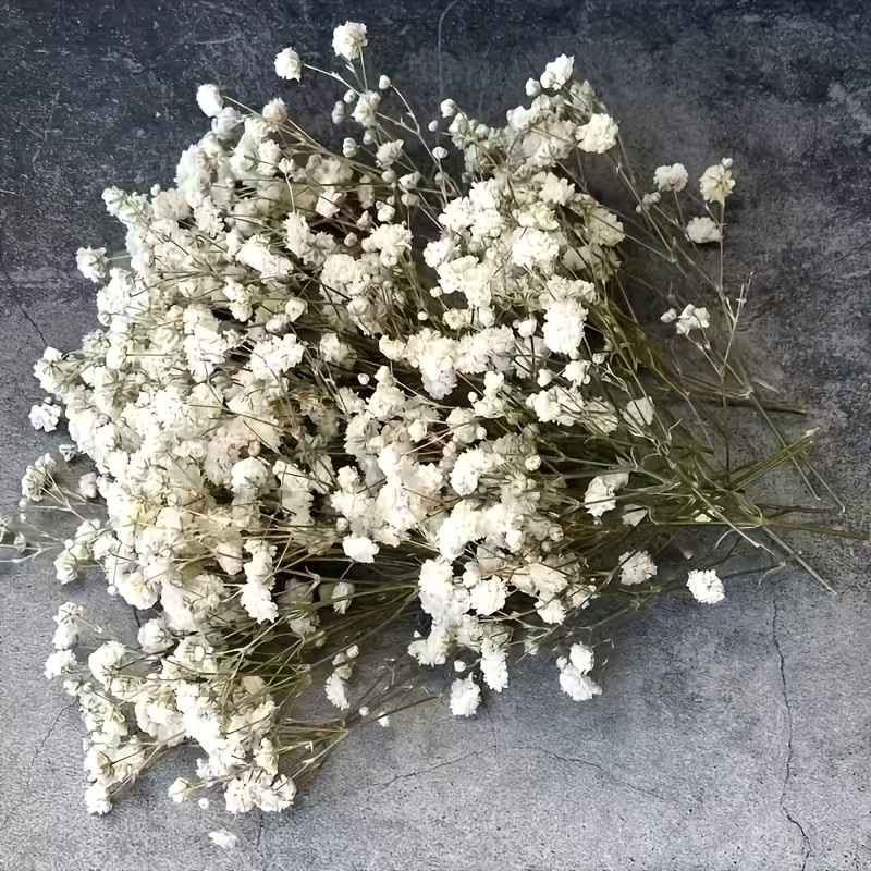 98pcs realistic babys breath bouquet bohemian style for vase filler wedding decor home and   parties gardens card making and diy crafts long lasting   realistic