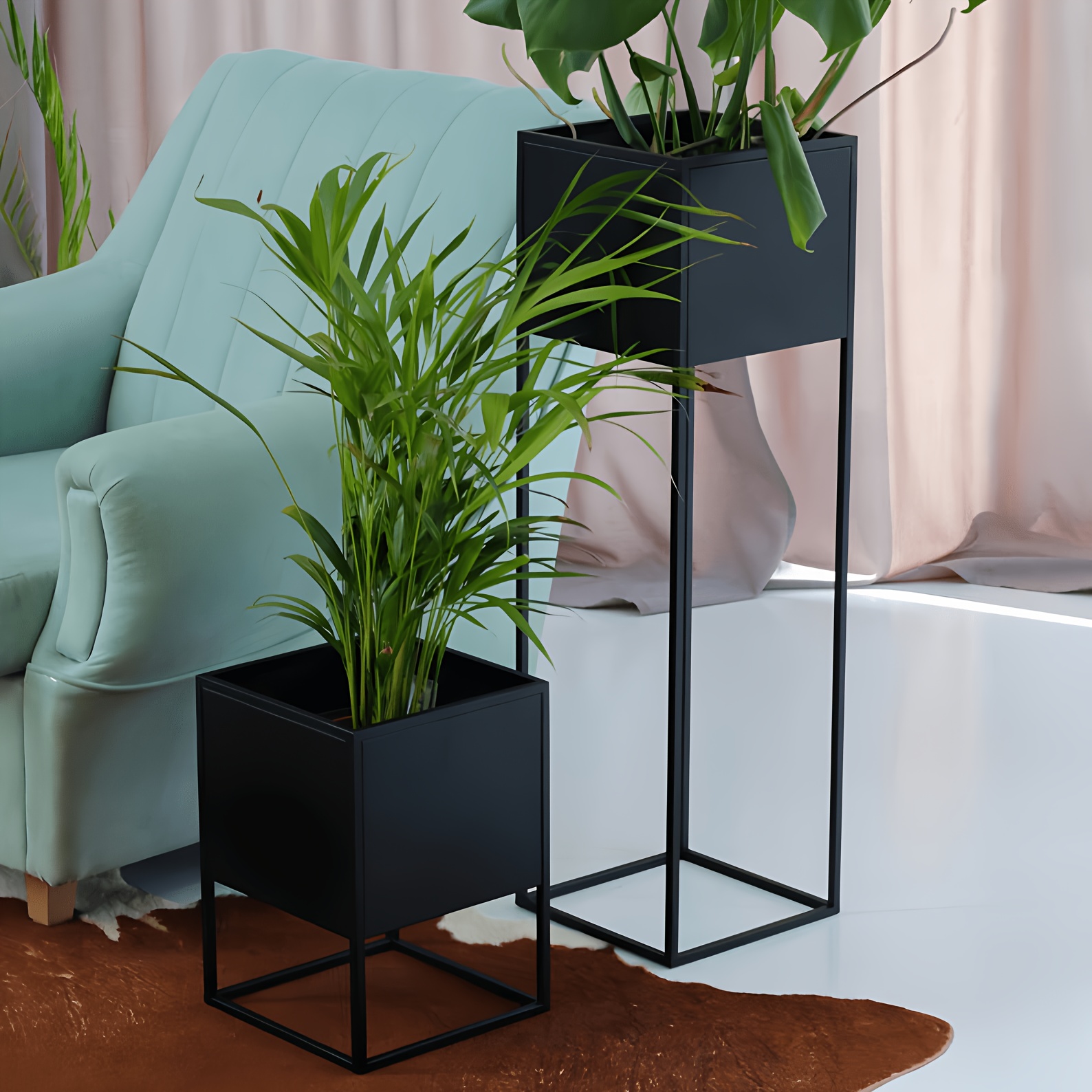 table plants sold on Temu United States