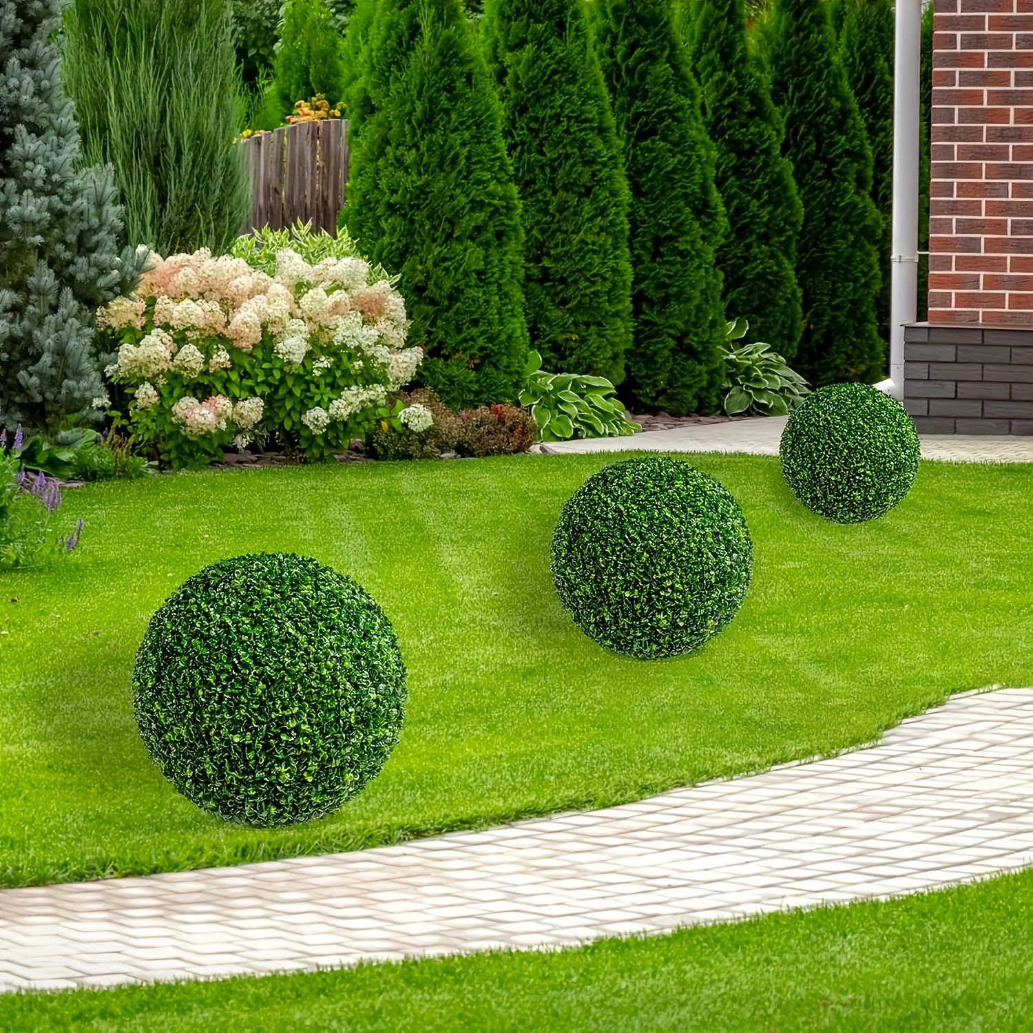 thuja 15 ch Junior Giant Thuja Tree | 1-2 ft main image 0
