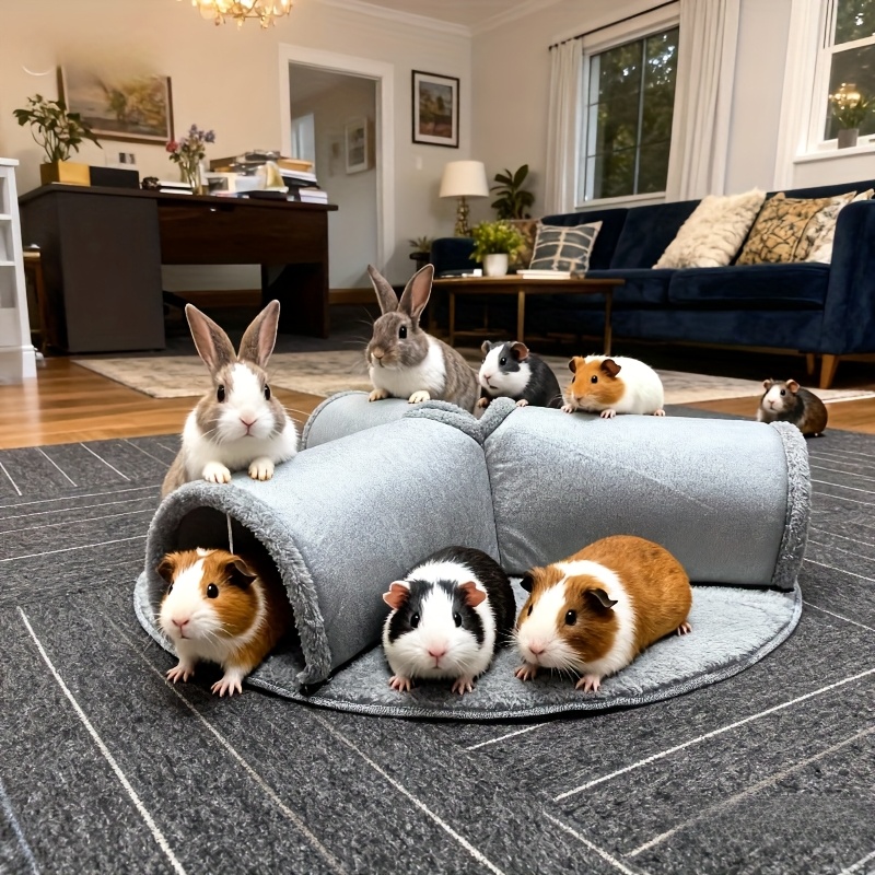 Cfa9d0fe 070d 4810 Ad39 De230b39e152 Cfa9d0fe 070d 4810 Ad39 De230b39e152