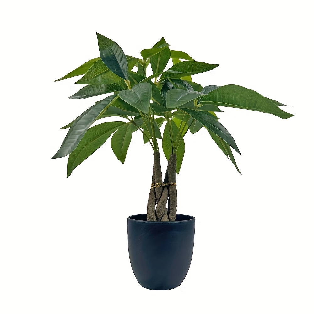 Realistic With Pot, Beautiful Shape, A Very Popular Indoor Foliage Plant, Used For Home Or Office Decoration