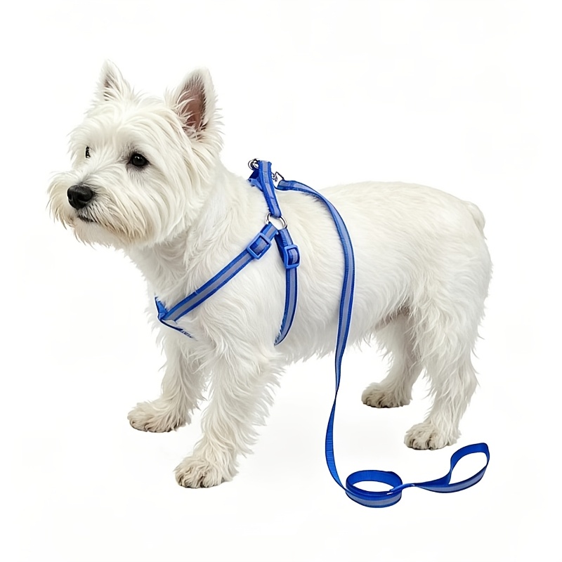 2pcs Pet Reflective Harness and Leash Set, Adjustable