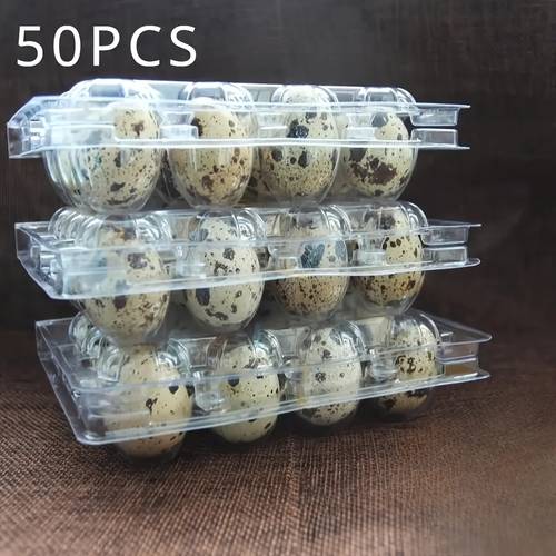 50 pack clear quail egg carton 12 grids plastic egg cartons bulk plastic quail egg storage holder with lid stackable quail eggs carton trays for storing eggs of quail pigeon