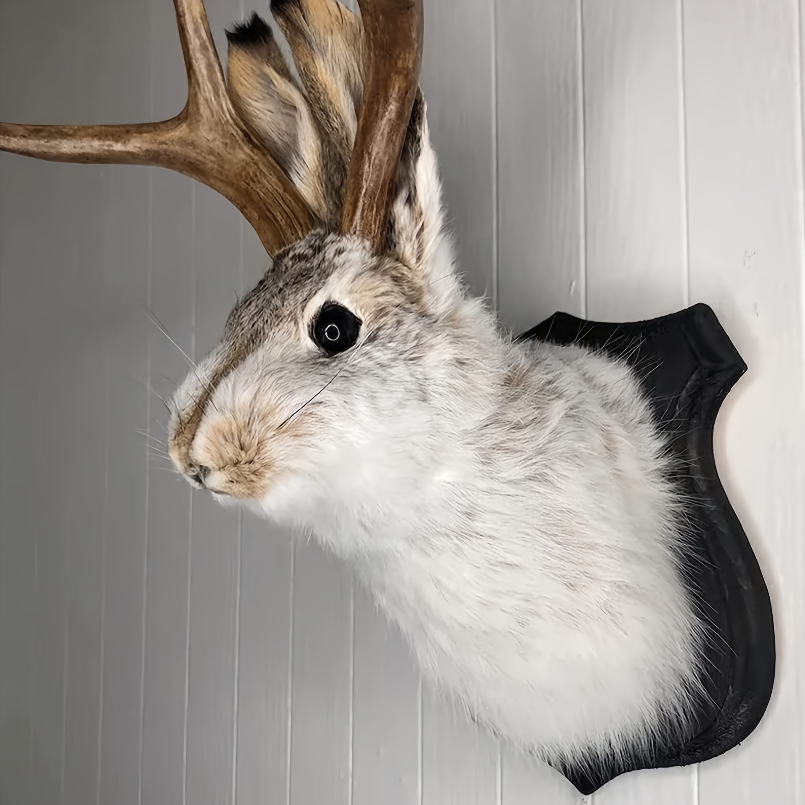 

Mount, Easter Bunny Wall Decor, Taxidermy, Animal Head Wall Decor, Animals Wall Art, Resin Deer Head Animal Wall Mount, For Home Wall Decoration