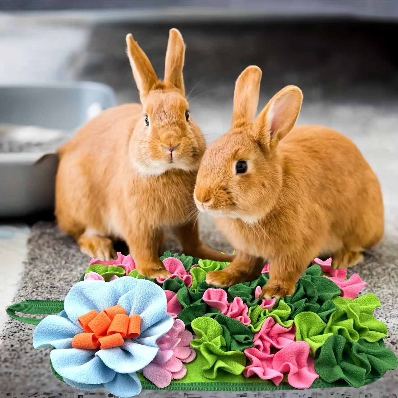 rabbit supplies sold on Temu United States