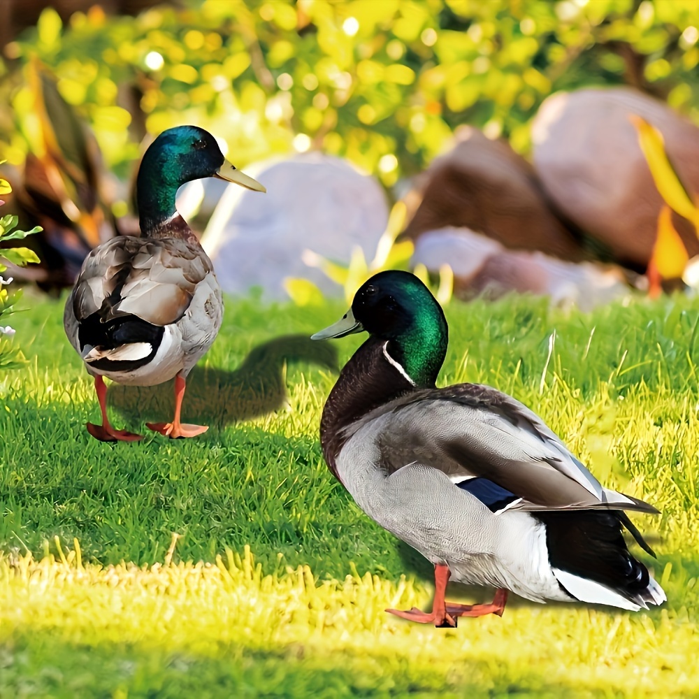 

2-piece Vibrant Acrylic Duck Garden Stakes - Colorful 2d Yard Art For Outdoor & Home Decor