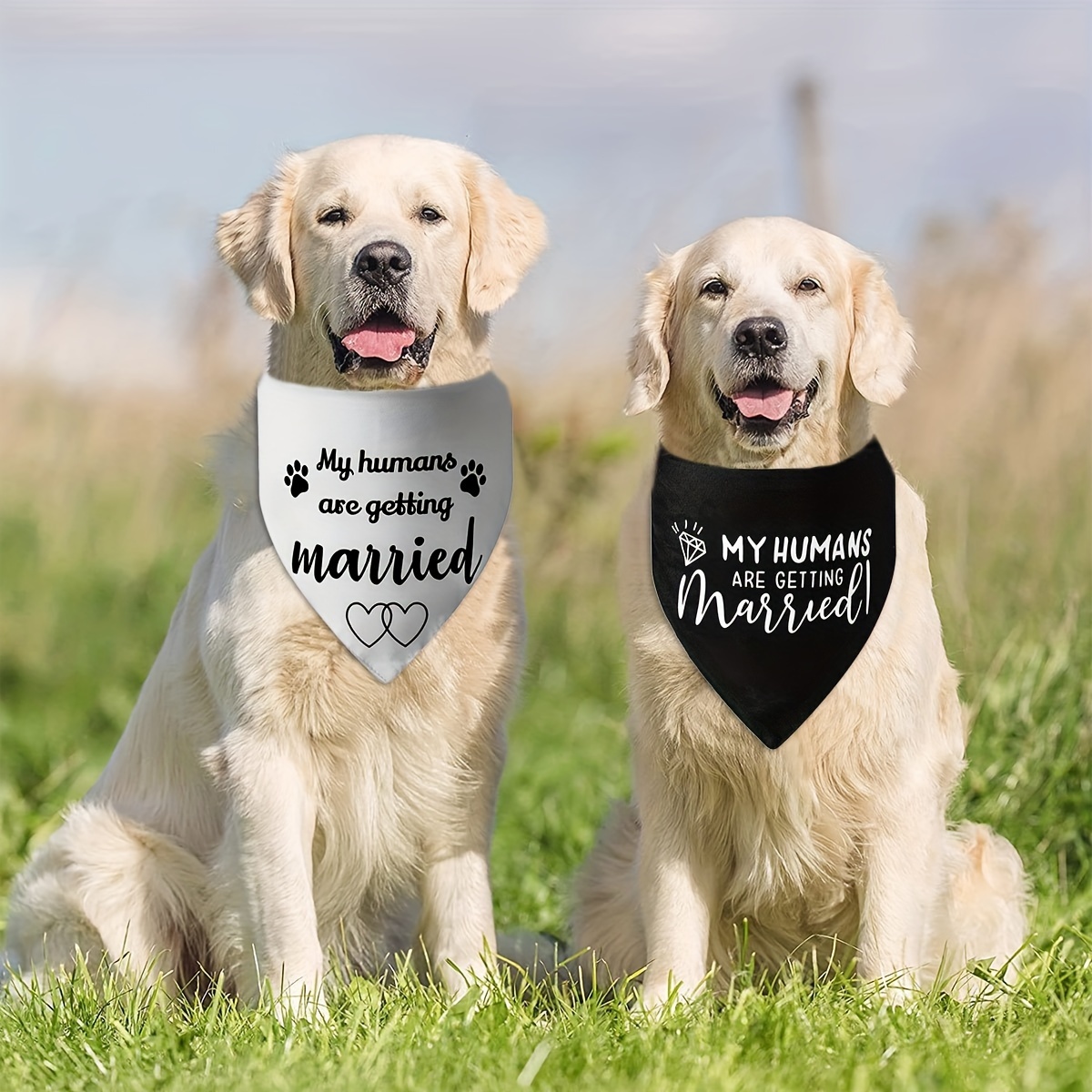 My humans are 2024 getting married bandana