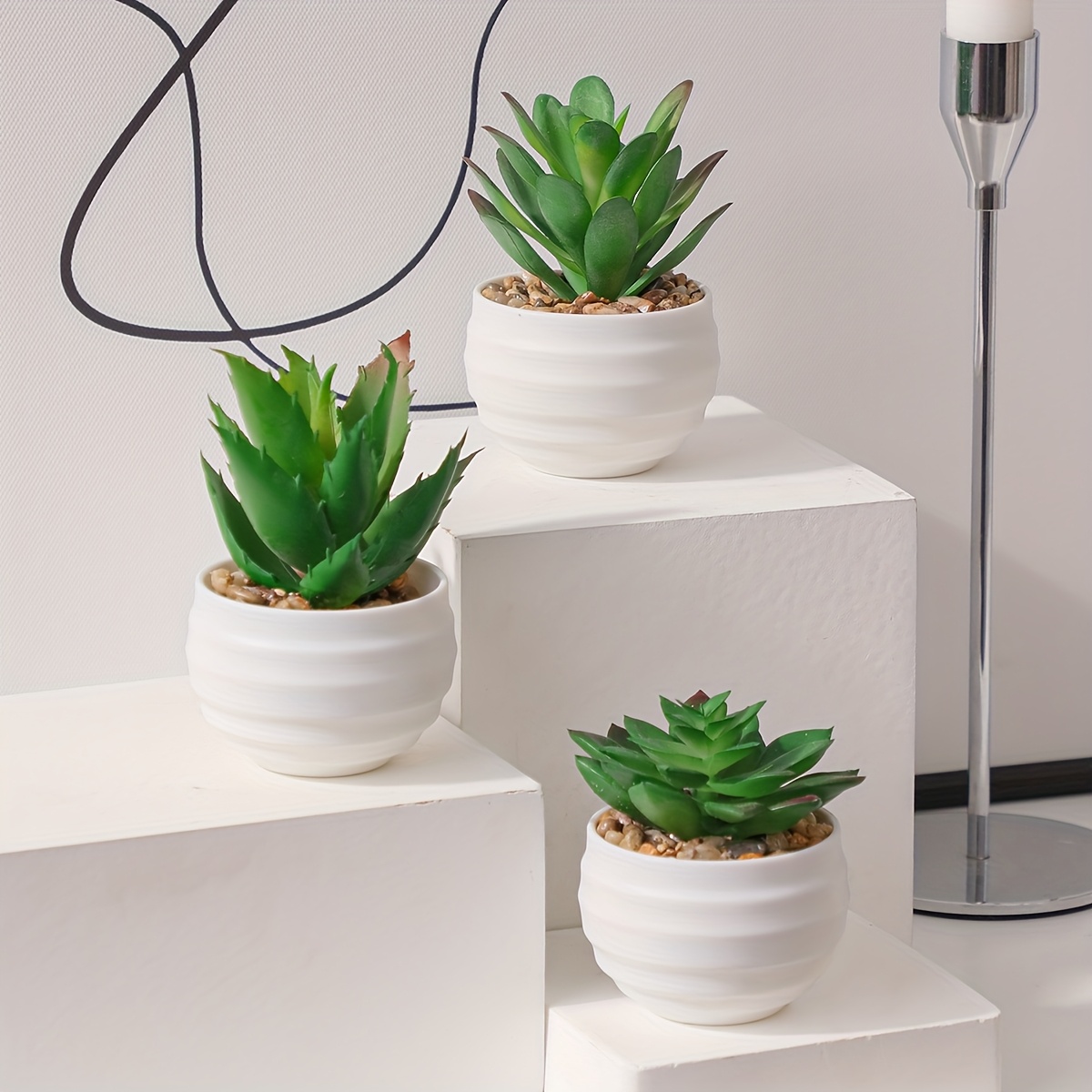 chlorophytum comosum hawaiian Chlorophytum comosum 'Spider Plant' – B.Willow
