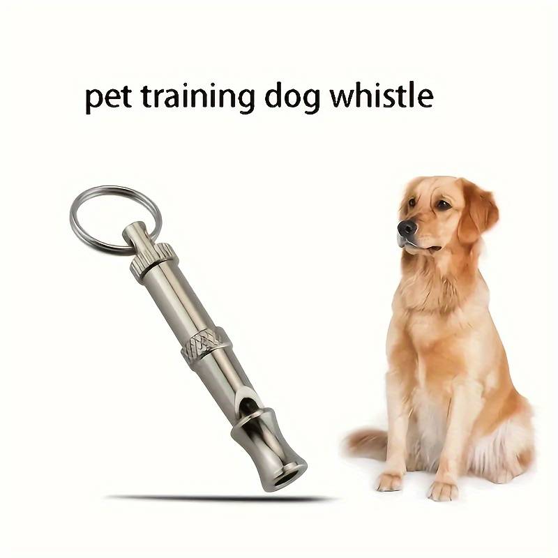 Using a Whistle for Dog Training: Tips for Success