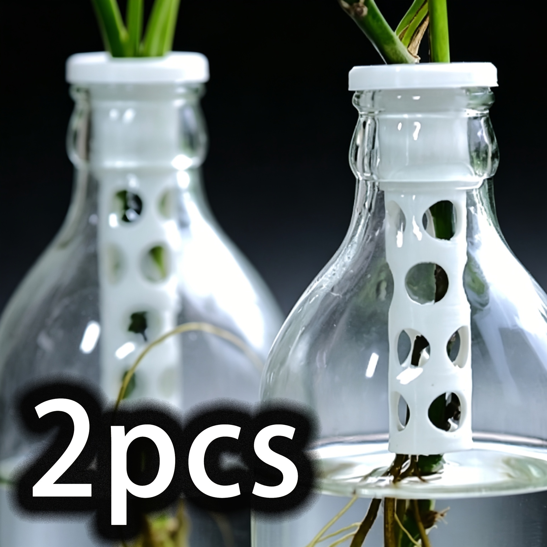 TEMU 2pcs Desktop Hydroponic Accessories For Bottle Mouth Decoration Of Hydroponic Potted Plants
