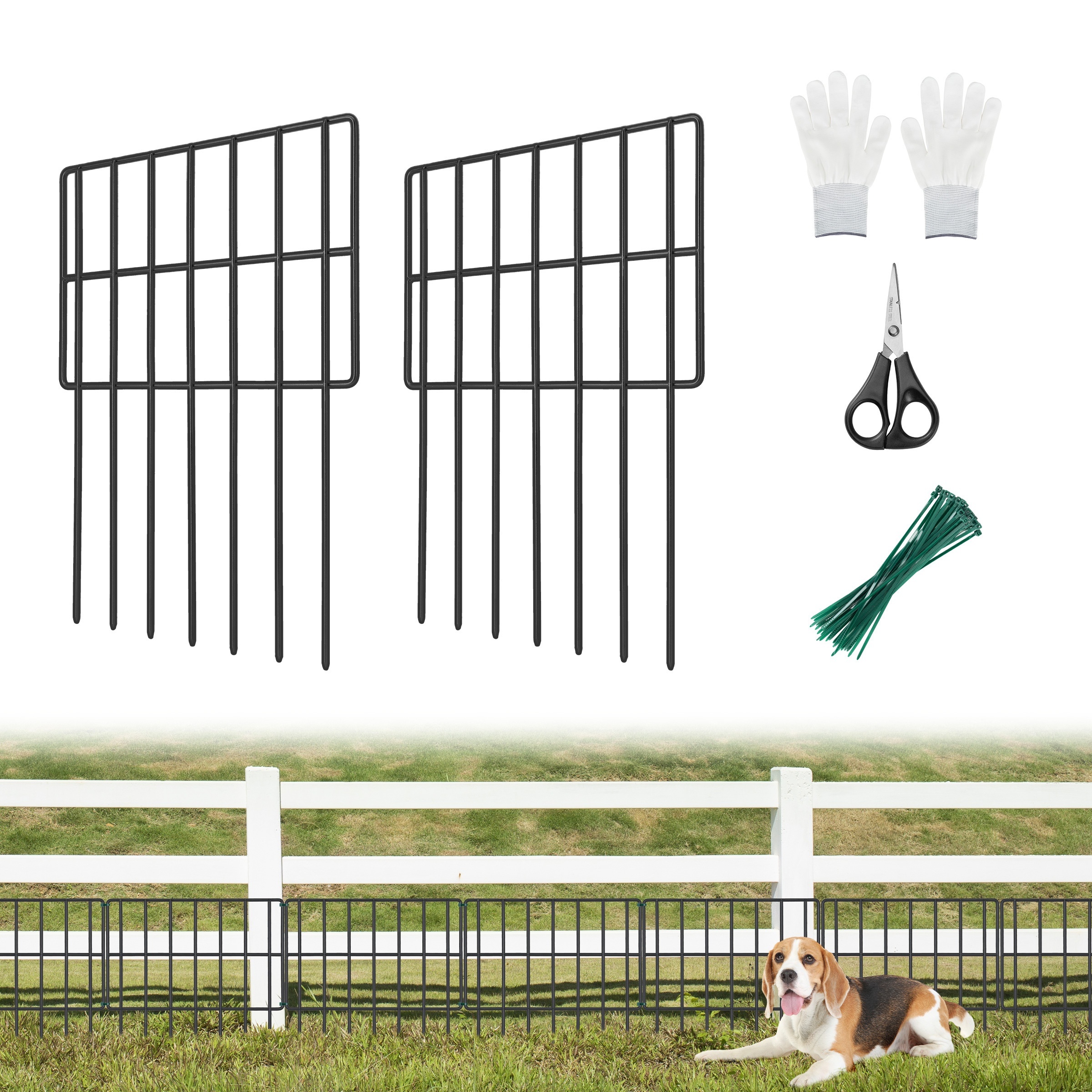 no fence for dog
