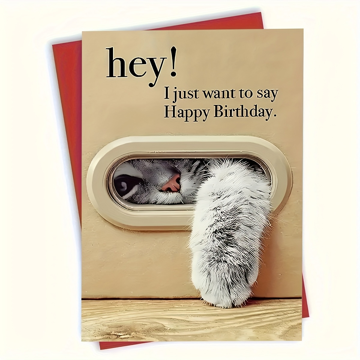 TEMU [party Invitations][1pc Whimsycat Cartoon Birthday Card] 1pc Whimsycat Cartoon Kitten Birthday Greeting Card, Personalized Paper Party