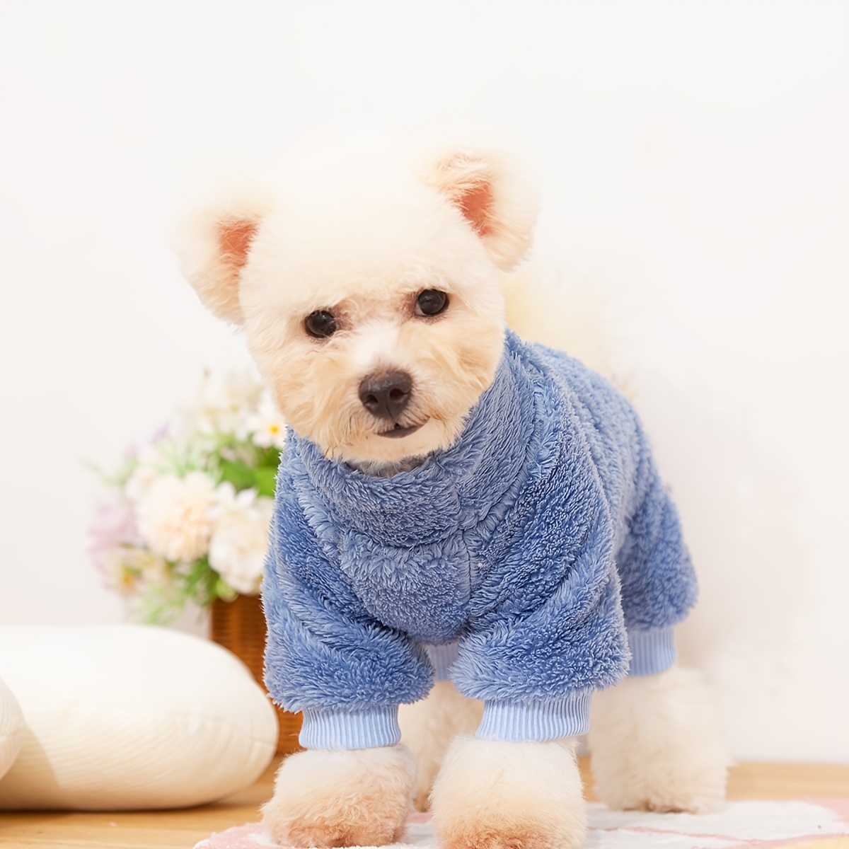 poodle clothes sold on Temu United States