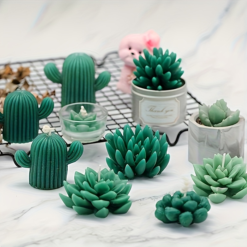 cactus in french Hug Me Cactus – French Graffiti