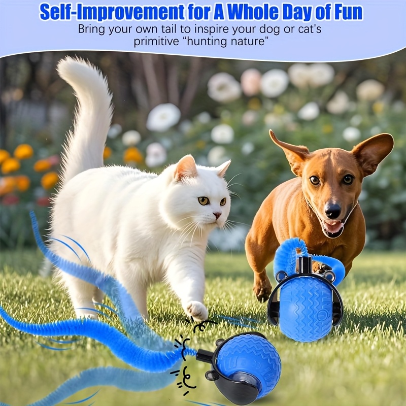 1pc MIAOQUANJI Interactive Cat Toy with Automatic Rolling Ball - USB Rechargeable, Smart Tail Ball for Indoor Cats, Durable Plastic, All Breeds & Sizes, Interactive Playtime, Cat Toy, Playful Design, Smooth Surface 9 1pc MIAOQUANJI Interactive Cat Toy with Automatic Rolling Ball - USB Rechargeable, Smart Tail Ball for Indoor Cats, Durable Plastic, All Breeds & Sizes, Interactive Playtime, Cat Toy, Playful Design, Smooth Surface - Image 9