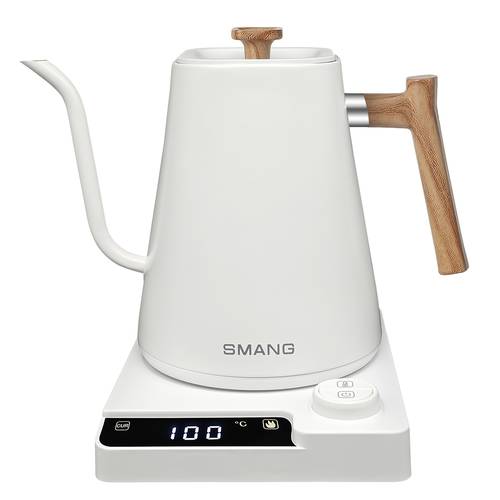 smart gooseneck electric kettle 1 temperature control 304 stainless steel interior 1200w fast heating for pour over coffee tea boiling water built in brew timer lcd display 1l