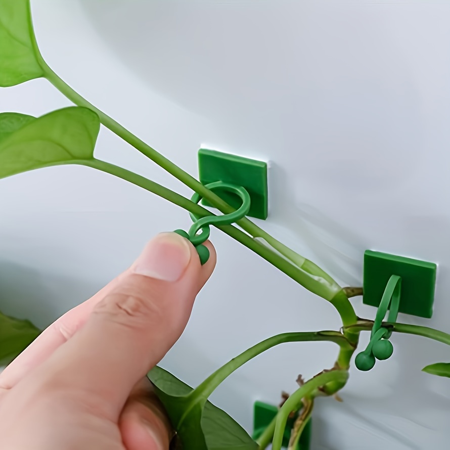 10/20/30pcs Plant Climbing Wall Fixture Clips, Self-Adhesive Hook Vines Traction Invisible Holder Supporting Wire Fixing, For Garden Wall Clip, Vines Fixing Clips Self-Adhesive Hook Plant Vine Traction For Indoor Outdoor Decoration