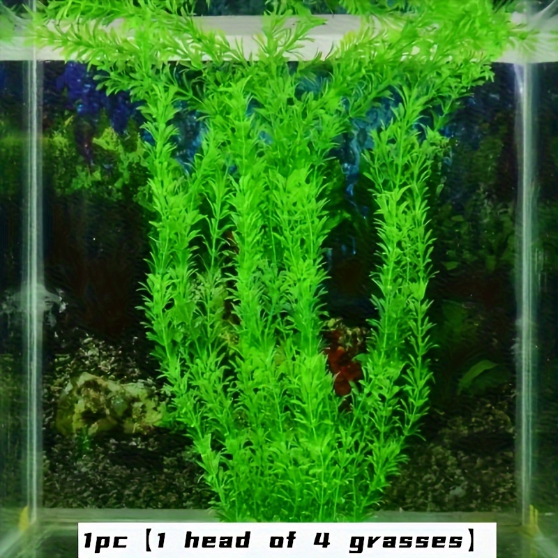 - Abs For Tank Decor