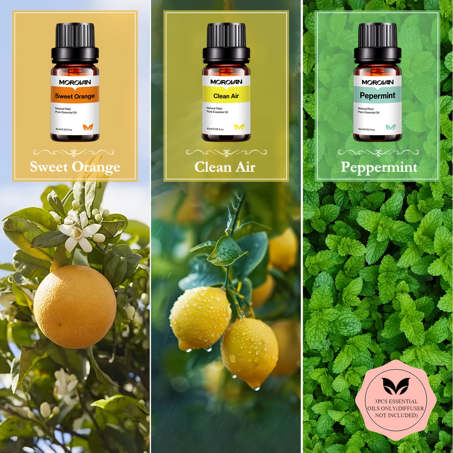 TEMU 3pcs Floral/summer /spa Essential Oils For Diffuser,home Spa &relaxation, Natural Plant Extracts, Relaxing & Refreshing Fragrance