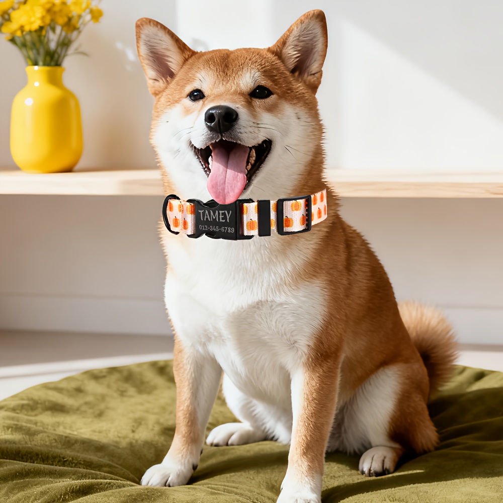 Adjustable Fruit Themed Pet Collar with Custom Name