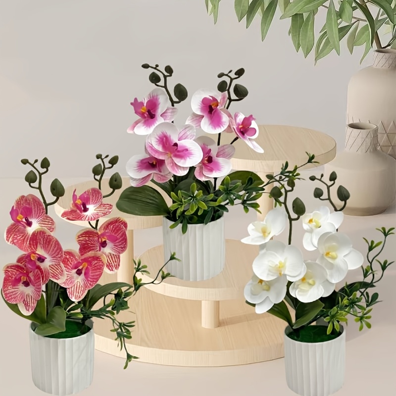 lavendel im blumenkasten Balkonbox Lavender Love kaufen main image 0