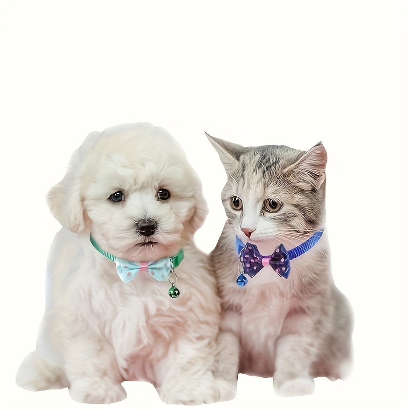 D2fdf3ab 1ca8 4944 9499 B40f59dbc2b1