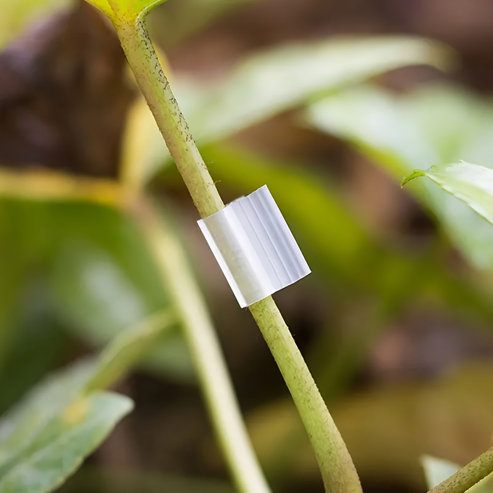 plastic grafting clips gardening accessories grafting clips grafting tools plant support stakes   gardening grafting clips tomato grafting clips vegetable fruit tree and eggplant grafting clips