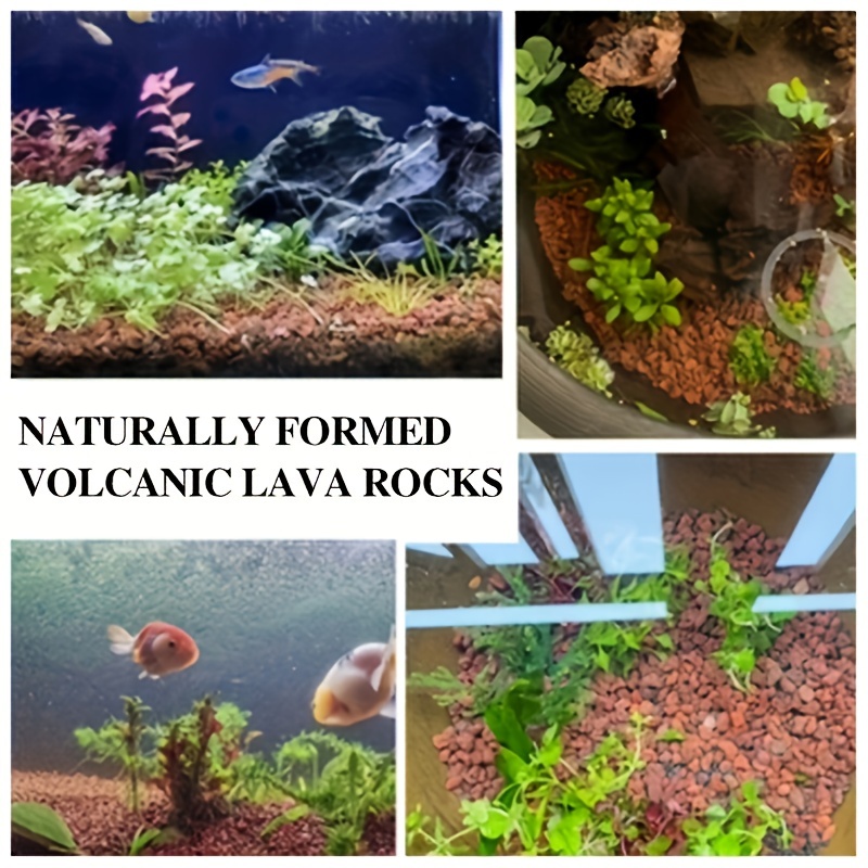 vulkansteine aquarium terrarium habitat lava dekor reptilien - Temu Germany